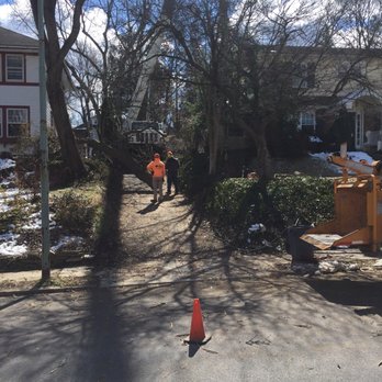 Powell Property Maintenance & Tree Service - Tree Services Near Me - Colmar, Pennsylvania