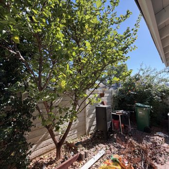 Adara Landscape - Before the work - Landscaping Near Me - Laguna Niguel, California
