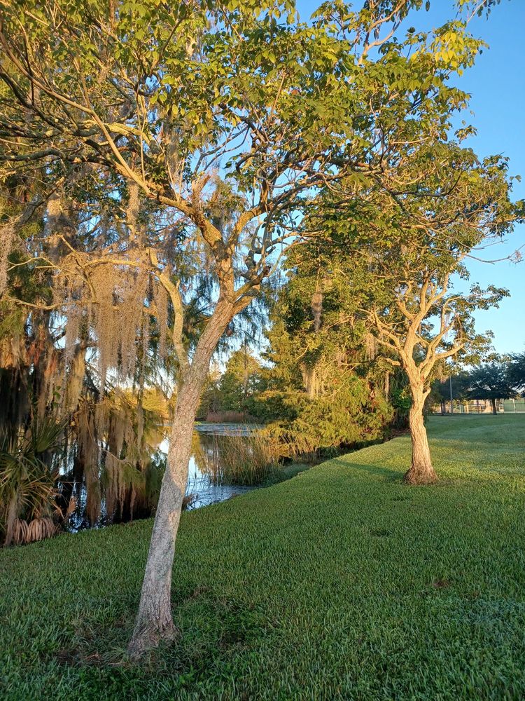 LAKE HIGHLAND PARK Updated August 2024 31 Photos & 12 Reviews