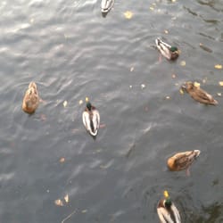 Seestrassen