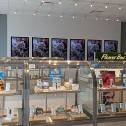 Insa Cannabis Dispensary - Largo