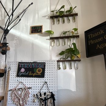 Rawfully Delicious Cafe - Community garden - Cafes Near Me - Fort Myers, Florida Rawfully Delicious Cafe - Community garden - Cafes Near Me - Fort Myers, Florida