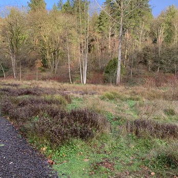 Washington Park Arboretum - Parks Near Me - Seattle, Washington Washington Park Arboretum - Parks Near Me - Seattle, Washington
