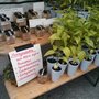 Photo of Erntedankfest Alt Marzahn