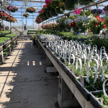 Green Acre Farms - rows of plants in a greenhouse - Fruits & Veggies Near Me - Rochester, New York