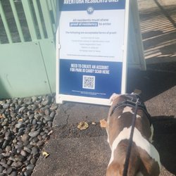 Waterways Dog Park