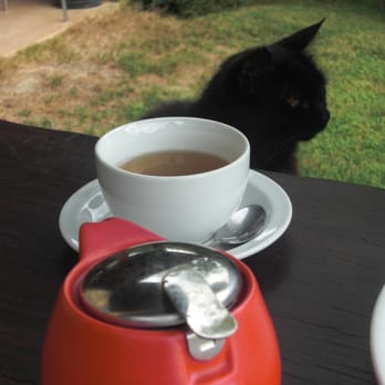 Hot Waves Cafe - Coffee & Tea Near Me - Waikato, WKO