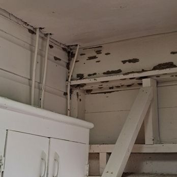 Hoyle Pest Professionals - Pest Control Near Me Hoyle Pest Professionals - Pest Control Near Me