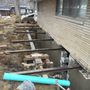 Photo of Illinois Pro Construction
