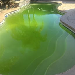 Grren pool yellow algae and non working water fall Grren pool yellow algae and non working water fall