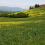 Photo of Holiday Tuscany