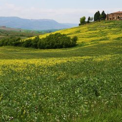 Holiday Tuscany - Chianti hills and Florence