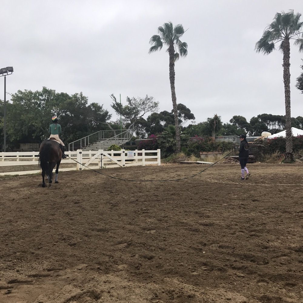 Wildling Equestrian - Horseback Riding Near Me - Costa Mesa, California Wildling Equestrian - Horseback Riding Near Me - Costa Mesa, California