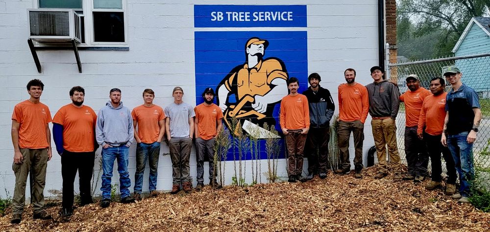 S.B. Tree Service - tree service in Cincinnati, OH