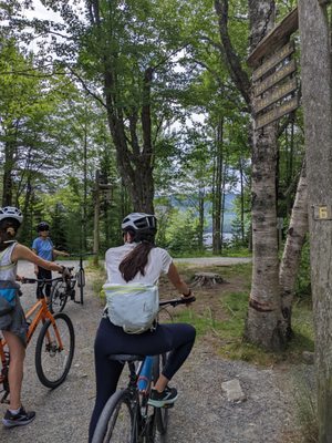 Bar Harbor Bicycle Shop by null