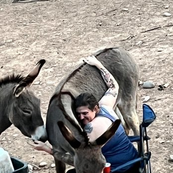 Nickel Financial Services - Nickel Financial Services with adopted donkey - Accountants Near Me Nickel Financial Services - Nickel Financial Services with adopted donkey - Accountants Near Me