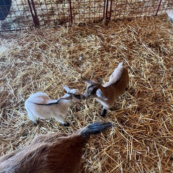 Ma'alot Farms - Community Service/Non-Profit Near Me - Los Gatos, California Ma'alot Farms - Community Service/Non-Profit Near Me - Los Gatos, California