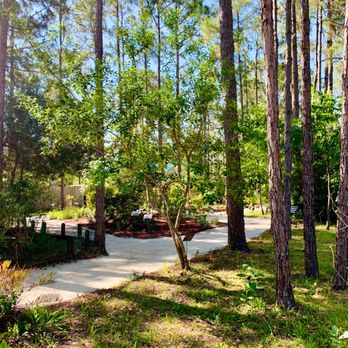 Tibet-Butler Preserve - Parks Near Me - Orlando, Florida Tibet-Butler Preserve - Parks Near Me - Orlando, Florida