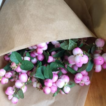 Paradis Blomsten - Fine snebær - Florists Near Me - Copenhagen, 84