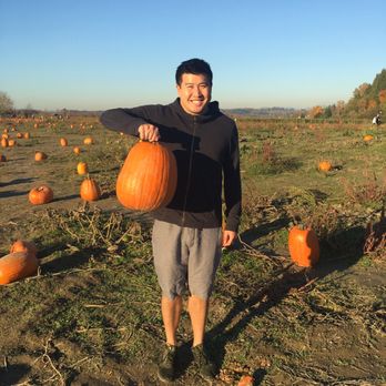 Carpinito Brothers Pumpkin Patch - Farmers Market Near Me - Kent, Washington
