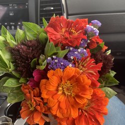 Saline Farmers Market - Got this cutie for $5!