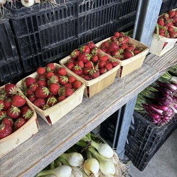 Fulton Street Market - Fresh strawberries - Fruits & Veggies Near Me - Grand Rapids, Michigan