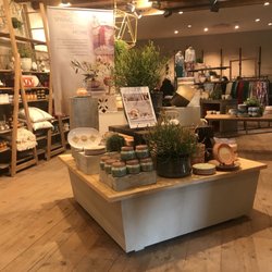 Anthropologie