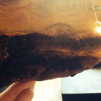Artichoke Basille's Pizza - Crust is burnt and pizza cold :/ - Pizza Near Me - Berkeley, California