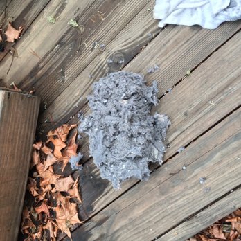 Delta Dryer Vent Cleaning - Lint plug Mark and his son removed for us! - Air Duct Cleaning Near Me