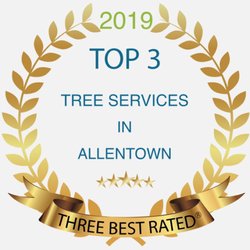 Jake's Tree Service - https://threebestrated.us14.list-manage.com/track/click?u=05f3e2499106aa8fa9f9026de&id=3cb3fe4bae&e=279bb57dd2
