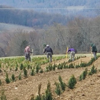 Showers Tree Farm - Christmas Trees Near Me - Aspers, Pennsylvania Showers Tree Farm - Christmas Trees Near Me - Aspers, Pennsylvania