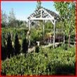 Creekside Garden Center
