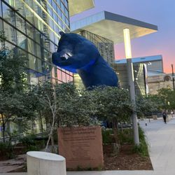 Big Blue Bear