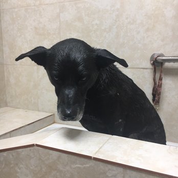 Pet Palace - Pet Stores Near Me - Aurora, Colorado
