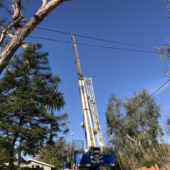 Inexpensive Tree Services - The crane - Tree Services Near Me - Los Angeles, California Inexpensive Tree Services - The crane - Tree Services Near Me - Los Angeles, California