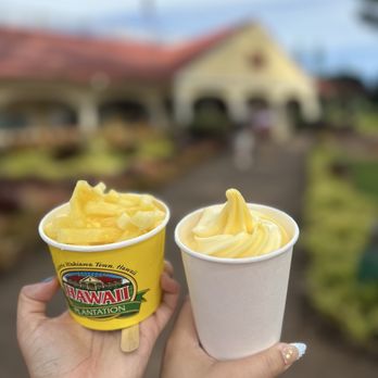 Dole Plantation - Tours Near Me - Wahiawa, Hawaii Dole Plantation - Tours Near Me - Wahiawa, Hawaii