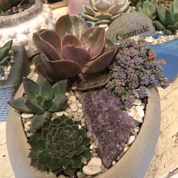 Potted - My creation - Home Decor Near Me - Los Angeles, California