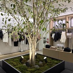 ALO - My favorite store has this beautiful waiting area