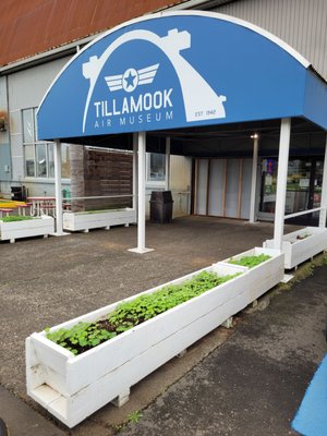 Tillamook Air Museum by null