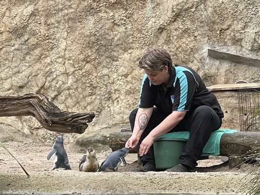 National Aquarium of New Zealand by null