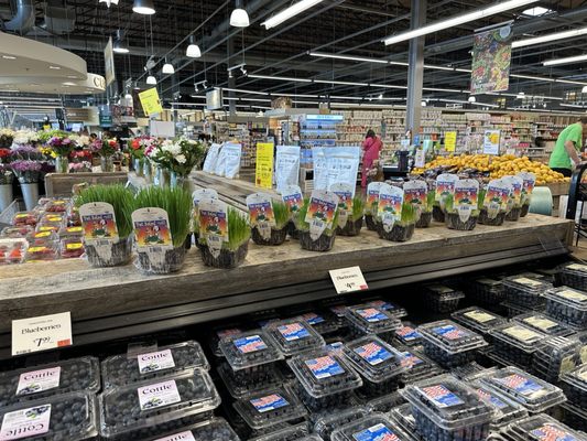 Whole Foods Market by null