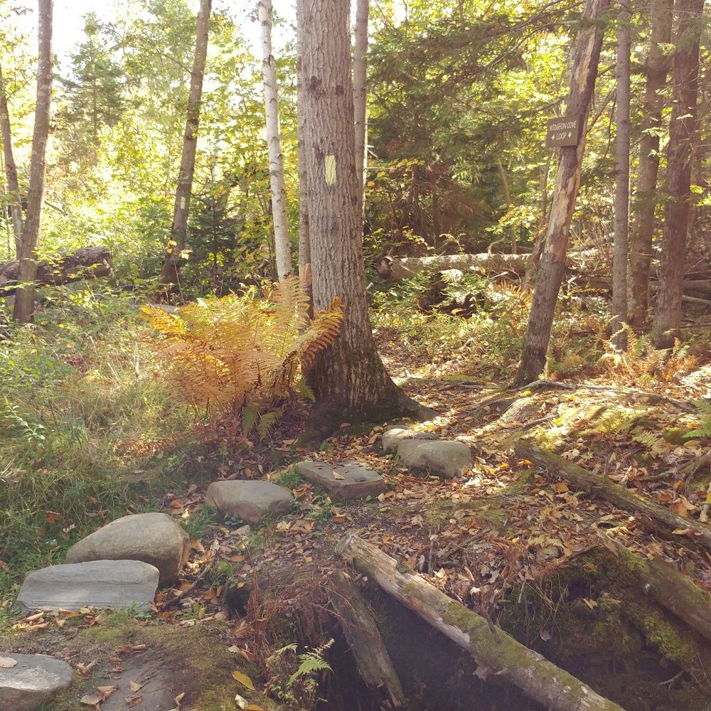 Widgeon Cove Trail - Stone path! - Hiking Near Me - Harpswell, Maine Widgeon Cove Trail - Stone path! - Hiking Near Me - Harpswell, Maine
