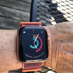 Best Buy Tanasbourne - Apple Watch se
