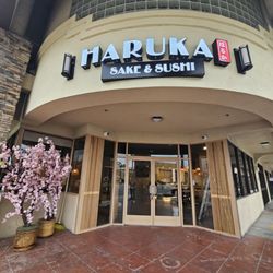 Haruka Sake and Sushi