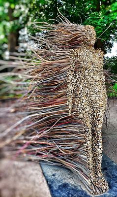 The Morton Arboretum by null