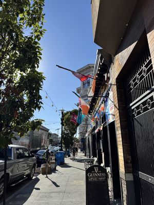 Mad Dog in the Fog by null