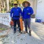 Acosta Tree Services