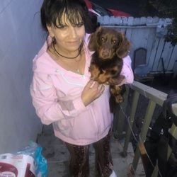 Red'z Beauty, Braids & Luxury Remy Hair - Me and friends puppy