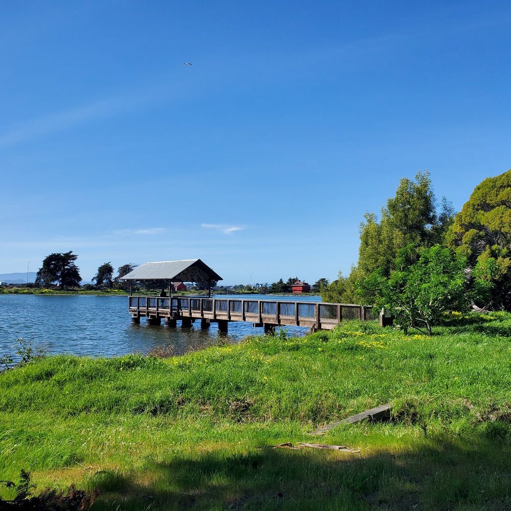 Berkeley Aquatic Park - Pier - Parks Near Me - Berkeley, California