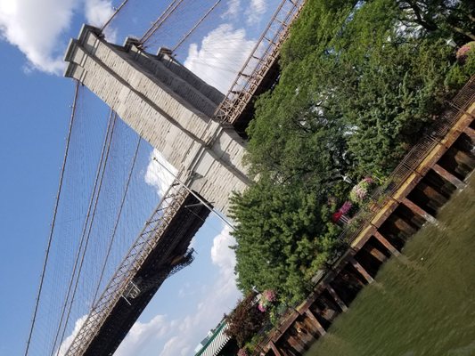 Brooklyn Bridge Park - Pier 1 by null
